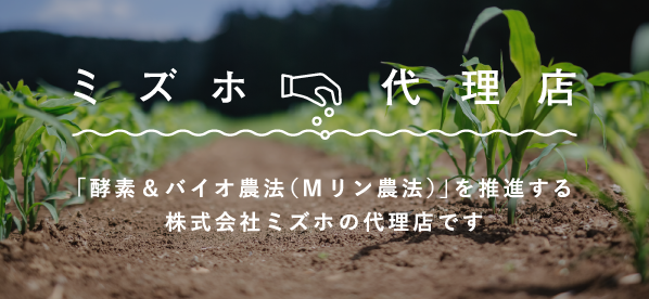 ミズホ代理店｜「酵素 バイオ農法（Mリン農法）を推進する株式会社ミズホの代理店です」